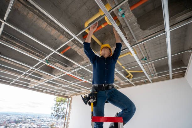 Best Sewer Line Repair  in Sulphur Springs, TX